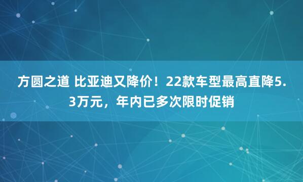 方圆之道 比亚迪又降价！22款车型最高直降5.3万元，年内已多次限时促销