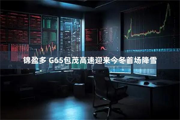锦盈多 G65包茂高速迎来今冬首场降雪