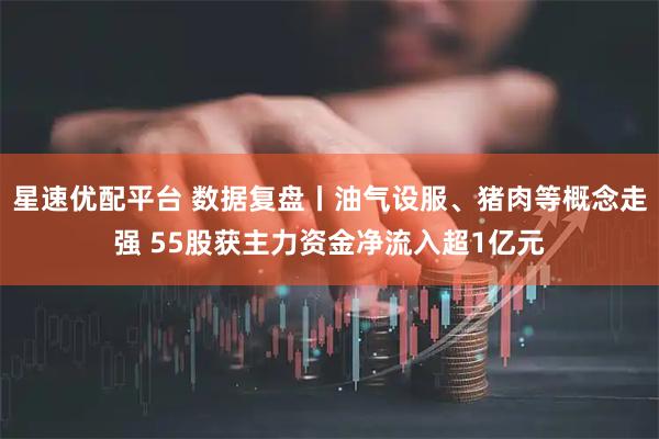 星速优配平台 数据复盘丨油气设服、猪肉等概念走强 55股获主力资金净流入超1亿元